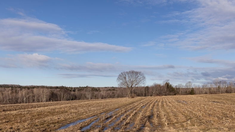 Image: PFAS Bills Are Piling Up, and So Is the Investment